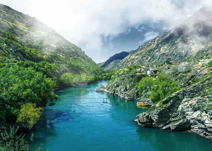 在成都双流机场，我体验了一次宠物专车接送，结果发现…-第1张图片-成都租车公司